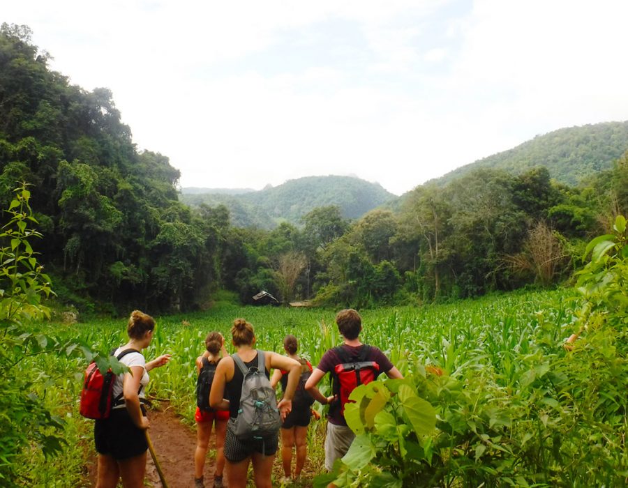 Trekking-3 Trekking-3